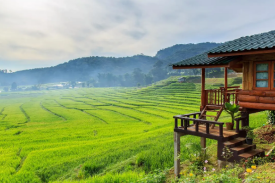 乡村旅游项目可行性研究报告