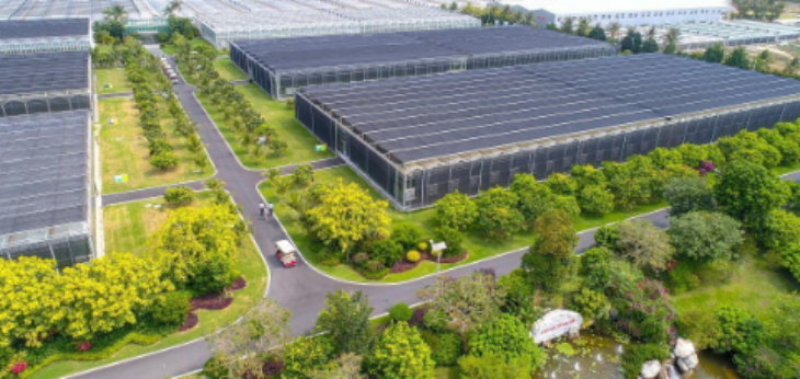 918博天堂(中国游)最新官方网站