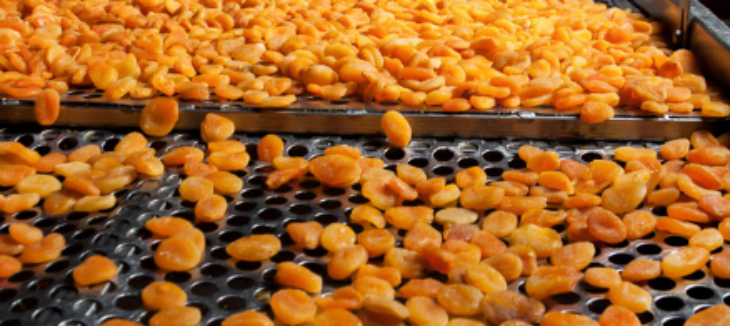 918博天堂(中国游)最新官方网站