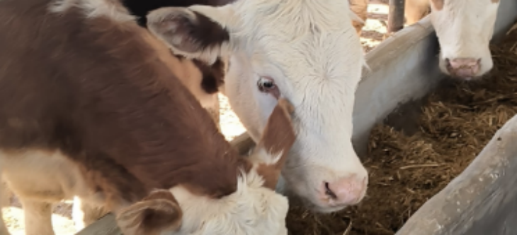 918博天堂(中国游)最新官方网站