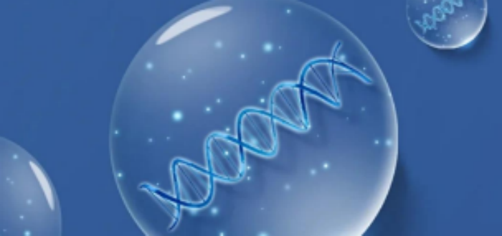 918博天堂(中国游)最新官方网站