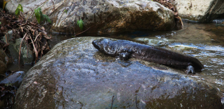 918博天堂(中国游)最新官方网站
